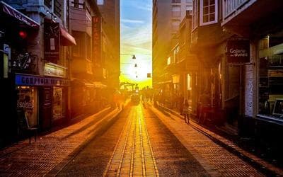 DIY Project: Turning Plastic Bottles into a Vertical Garden